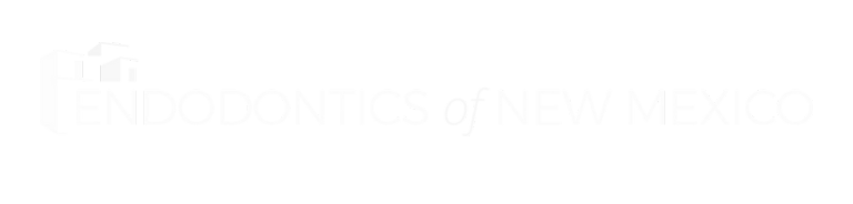 White Endonm Logo